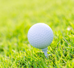 Golf ball on green grass
