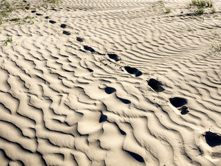 Footprints in the sand