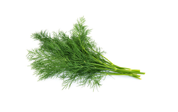 dill