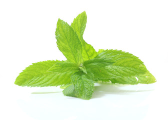 petals and leaves of fresh mint on a white background