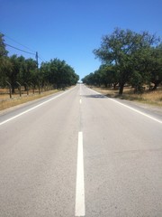 Fototapeta premium empty road