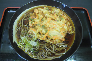 Japanese Soba with vegetable tempura