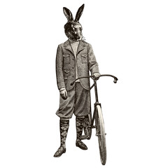 Lapin à vélo