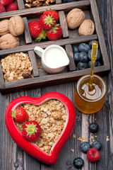 Obraz na płótnie Canvas Granola muesli with berries, honey, nuts and milk.