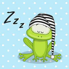 Fototapeta premium Sleeping Frog