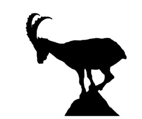 Capricorn silhouette