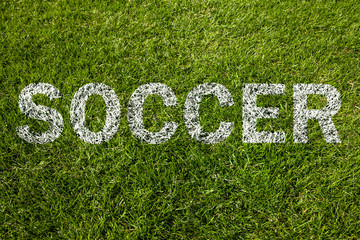 soccer auf rasen