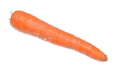 Carrot