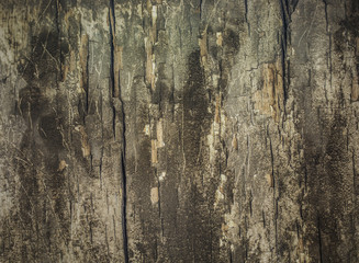 Obraz premium Old Wooden BG