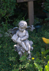 Obraz premium kleiner Engel mit Buch