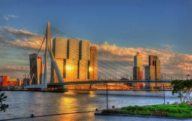 Cercles muraux Pont Érasme Vue de Rotterdam - Pays-Bas