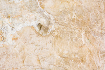 Light yellow background stone with holes. Closeup