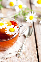 cup of tea with chamomile flowers