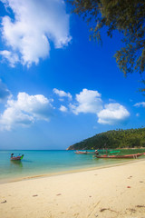 Beautiful tropical beach with palm tree. Koh Phangan