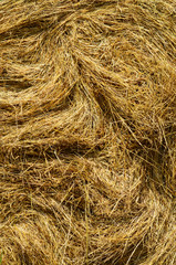 Hay bale close up