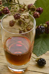 Rubus ulmifolius Mittelmeer-Brombeere Ежевика вязолистная