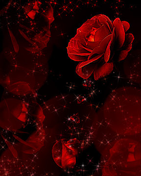Fototapeta Red roses dripping crystals