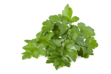 Parsley Fresh