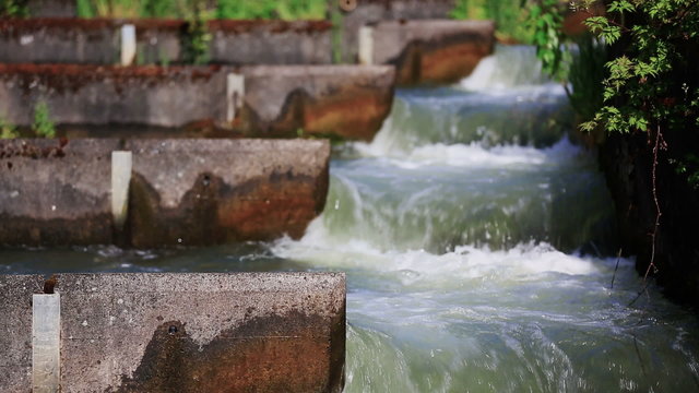 Fish Ladder Sequence