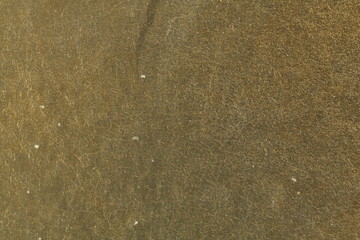 Shiny goldleaf texture