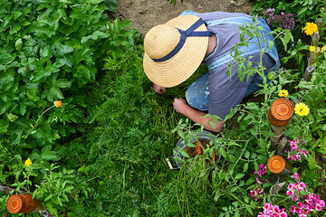 Gartenarbeit