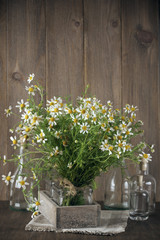 Chamomiles bouquet