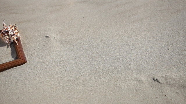 Frame with shell starfish sunglasses. HD with motorized slider. 