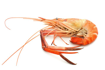 Boiled shrimp isolated on white