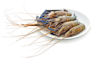 Raw prawns isolated on white background