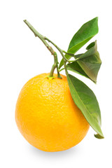 Orange with leaves on a white background