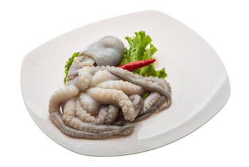 Raw octopus