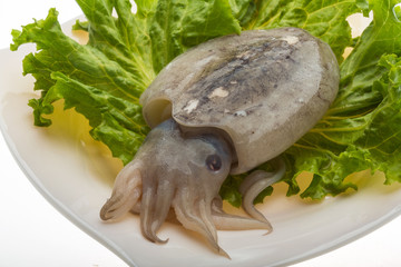 Raw cuttlefish