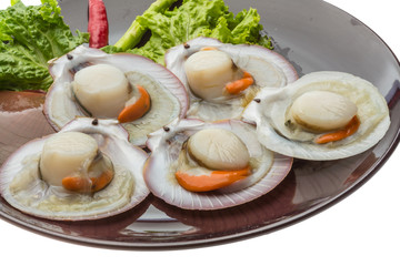 Raw fresh scallop
