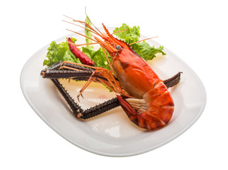 Giant Freshwater Prawn