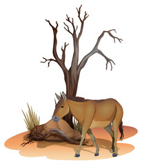 A horse beside the tree