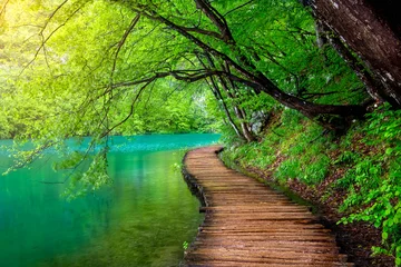  Kristalhelder water en houten pad. Plitvice meren, Kroatië © pmartike