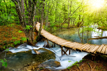 Deep forest stream with crystal water. Plitvice lakes, Croatia