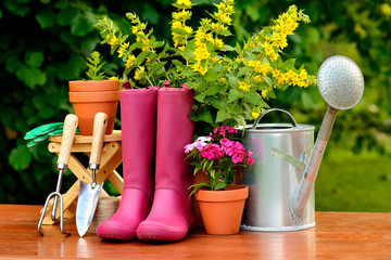 Gardening tools on wooden table and green background