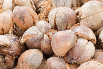 Pile of discarded coconut husk in coconut farm, Thailand