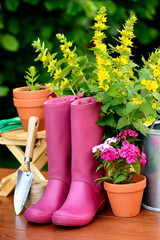 Gardening tools on wooden table and green background