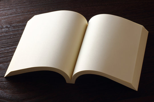 blank open book on the table