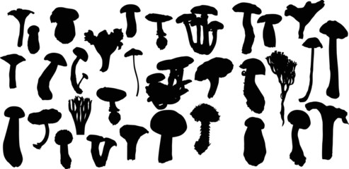 large set of isolated mushrooms outlines