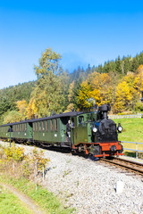 Naklejka premium steam train, Steinbach - Johstadt, Germany