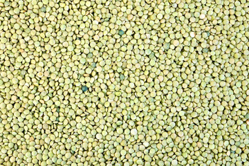 Lentils green texture