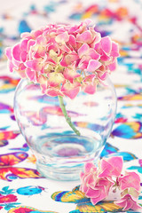 Obraz na płótnie Canvas Pink hydrangea flowers in a vase on a colorful table