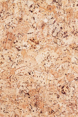 Cork board texture