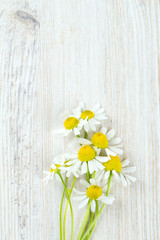 Fototapeta premium camomile flowers on wooden surface