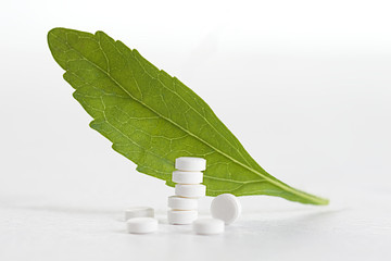 STÉVIA - Plante médicinale