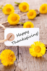 Label with Happy Thanksgiving