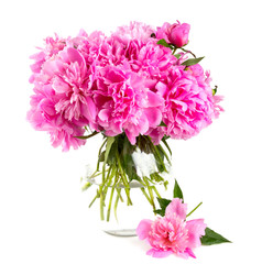 pink peonies in vase over white